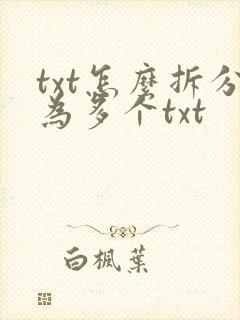 txt怎么拆分为多个txt