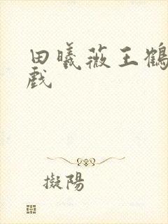 田曦薇王鹤棣吻戏