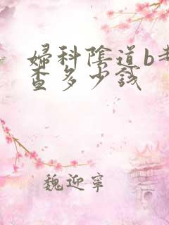 妇科阴道b超检查多少钱