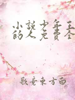 小说少年王抚琴的人免费全文阅读一