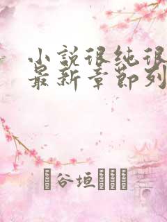 小说很纯很暧昧最新章节列
