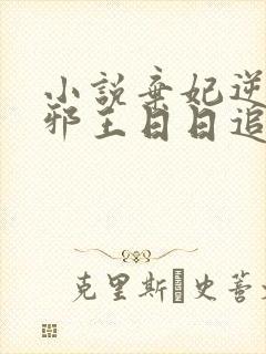 小说弃妃逆袭:邪王日日追妻忙作者