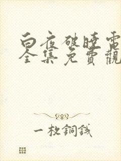 白夜破晓电视剧全集免费观看