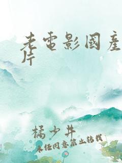 老电影国产故事片