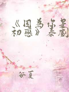 《因为你是我的初恋》泰剧在线观看