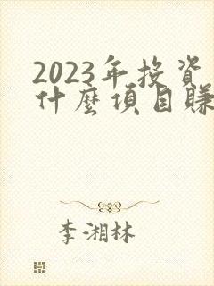 2023年投资什么项目赚钱