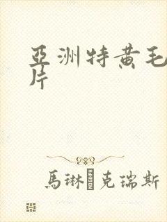 亚洲特黄毛片毛片
