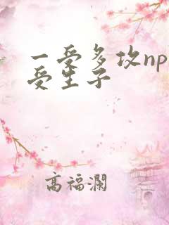 一受多攻np总受生子
