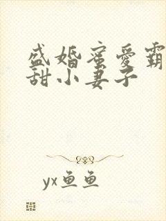 盛婚蜜爱霸宠鲜甜小妻子