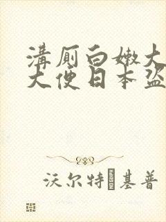 沟厕白嫩大屁股大便日本盗摄