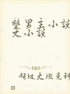双男主小说高干文小说