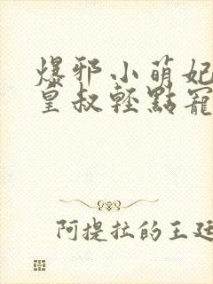 爆邪小萌妃腹黑皇叔轻点宠
