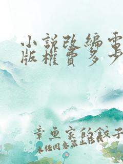 小说改编电视剧版权费多少钱
