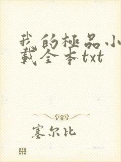 我的极品小姨下载全本txt