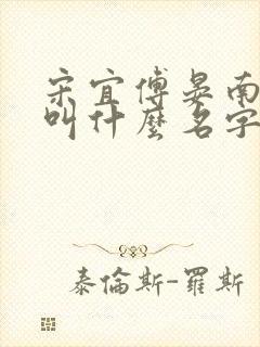 宋宜傅晏南小说叫什么名字