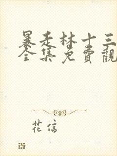 暴走林十三神豪全集免费观看动漫