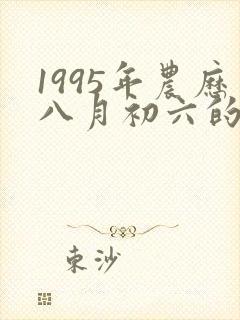 1995年农历八月初六的命理