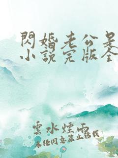 闪婚老公是豪门小说完版全章