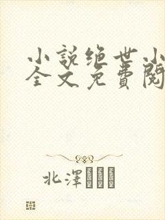 小说绝世小医仙全文免费阅读