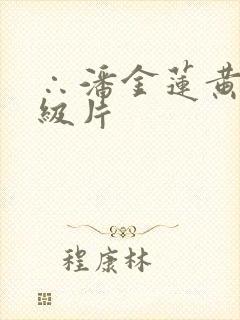 ∴潘金莲黄色一级片