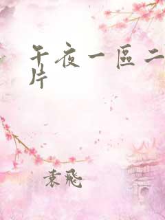 午夜一区二区好片