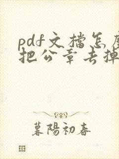 pdf文档怎么把公章去掉啊
