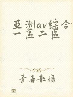 亚洲av综合区一区二区