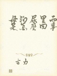 母狗尿里面有血是怎么回事