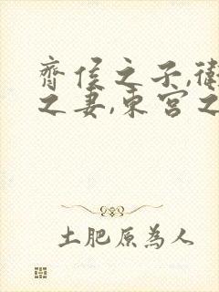 齐侯之子,卫侯之妻,东宫之妹,邢侯之姨