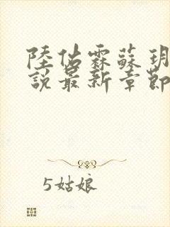 陆佑霖苏玥莹小说最新章节更新时间