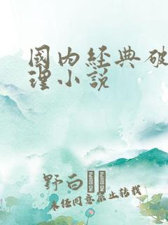 国内经典破案推理小说