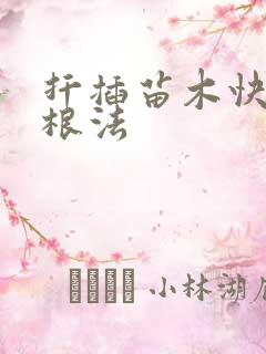扦插苗木快速生根法