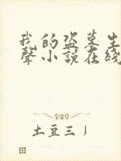 我的盗墓生涯有声小说在线收听