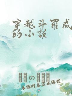 穿越斗罗成魂兽的小说
