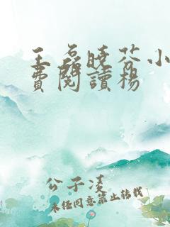 王磊晓芬小说免费阅读杨