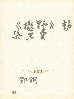 《撒野》动漫全集免费