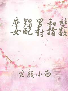 摩羯男和双子座女配对指数