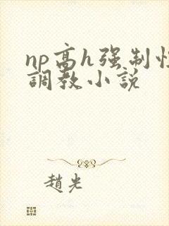 np高h强制性调教小说