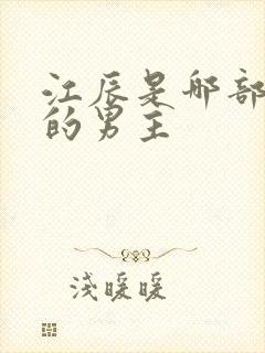 江辰是哪部小说的男主
