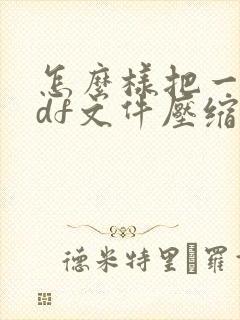怎么样把一个pdf文件压缩到最小