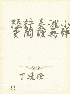 陆柠秦湘小说免费阅读无弹窗