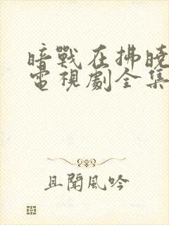 暗战在拂晓之前电视剧全集免费观看