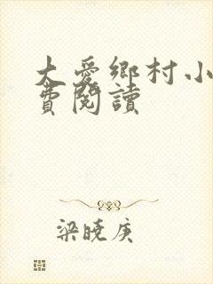 大爱乡村小说免费阅读