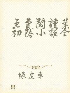 免费阅读叶辰萧初然小说全文