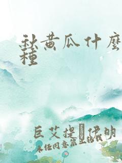 秋黄瓜什么时间种