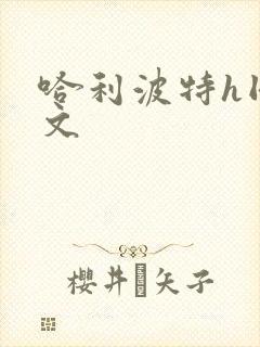 哈利波特h同人文