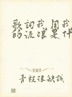 歌词我用我自己的流浪是什么歌名