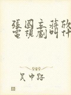 张国立蒋欣演的电视剧叫什么名字