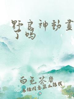 野良神动画完结了吗
