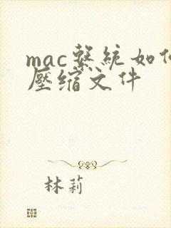 mac系统如何压缩文件